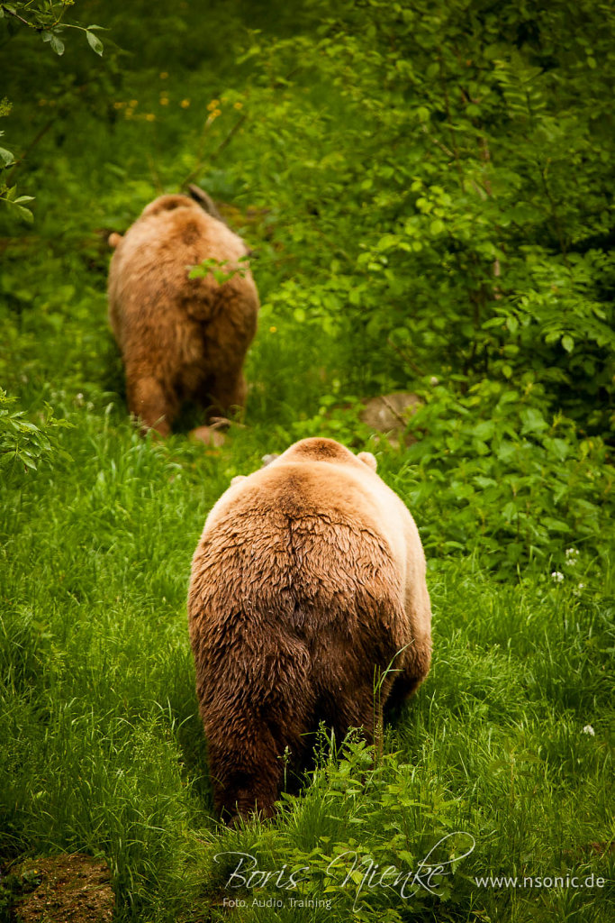 20130525-IMG-7212.jpg
