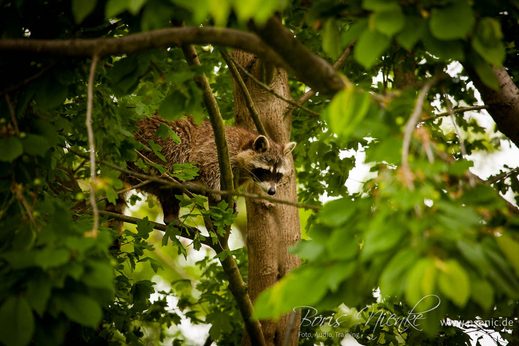 20130525-IMG-7226.jpg