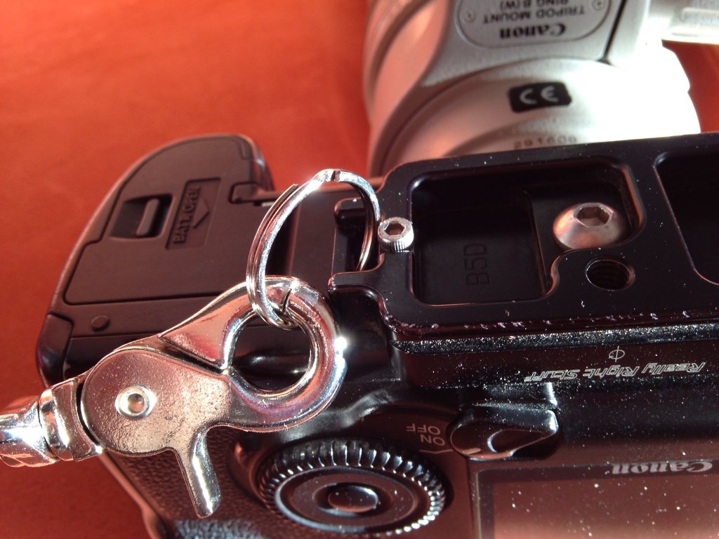 rrs-ring2.JPG